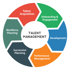 Integrated Talent Management: What Is It And Why Should You Want It?