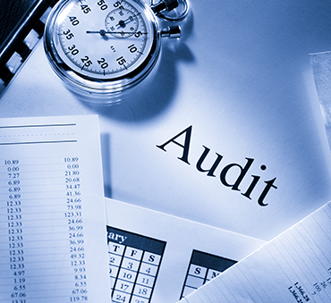 HOW TO CREATE THE GOOD INTERNAL AUDIT DIVISION IN THE COMPANY