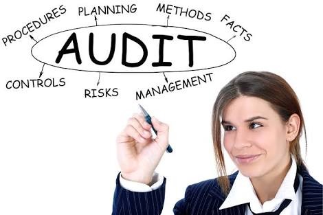 Pentingnya Audit Bagi Perusahaan